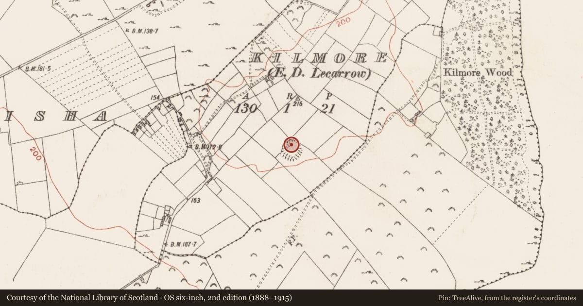 Ordnance Survey six-inch map, 2nd edition (1888–1915) covering the location of House - indeterminate date, Kilmore, County Roscommon, with a pin at the register's coordinates