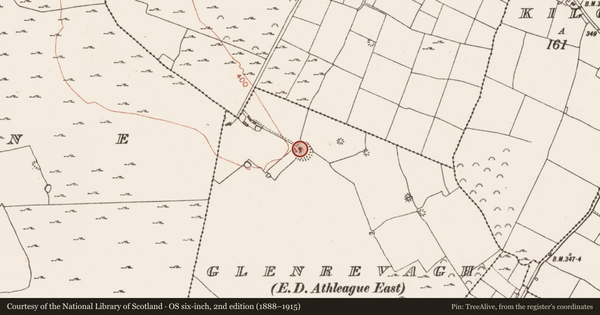 Ordnance Survey six-inch map, 2nd edition (1888–1915) covering the location of Ringfort - rath, Glenrevagh, County Roscommon, with a pin at the register's coordinates