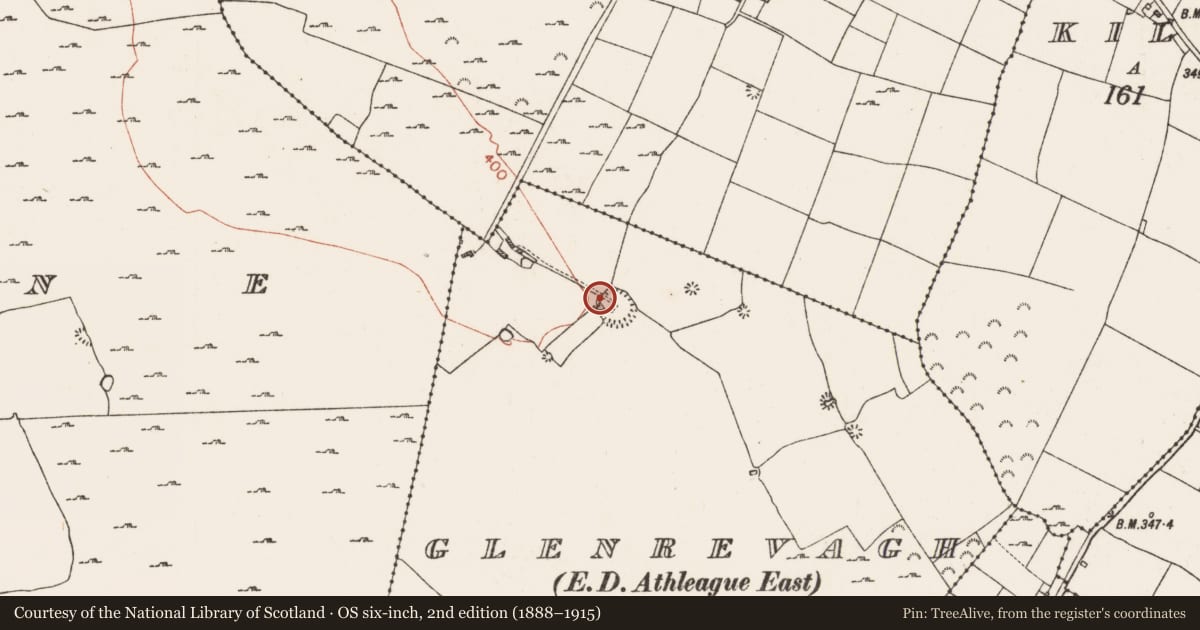 Ordnance Survey six-inch map, 2nd edition (1888–1915) covering the location of Kiln - lime, Glenrevagh, County Roscommon, with a pin at the register's coordinates