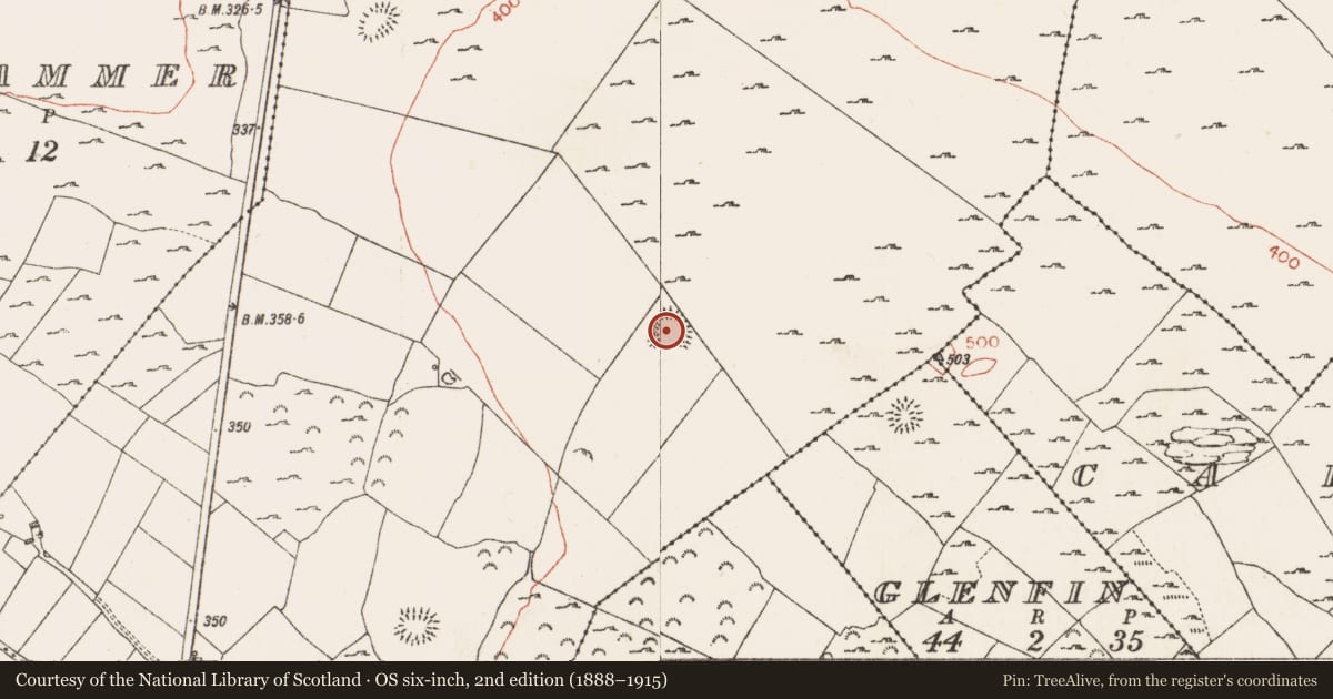 Ordnance Survey six-inch map, 2nd edition (1888–1915) covering the location of Ringfort - rath, Skrine, County Roscommon, with a pin at the register's coordinates