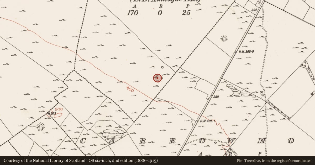 Ordnance Survey six-inch map, 2nd edition (1888–1915) covering the location of Ringfort - rath, Glenrevagh, County Roscommon, with a pin at the register's coordinates