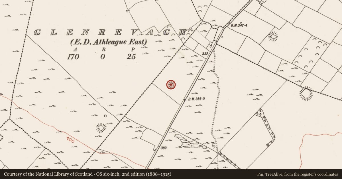 Ordnance Survey six-inch map, 2nd edition (1888–1915) covering the location of Ringfort - rath, Carrowmoney, County Roscommon, with a pin at the register's coordinates