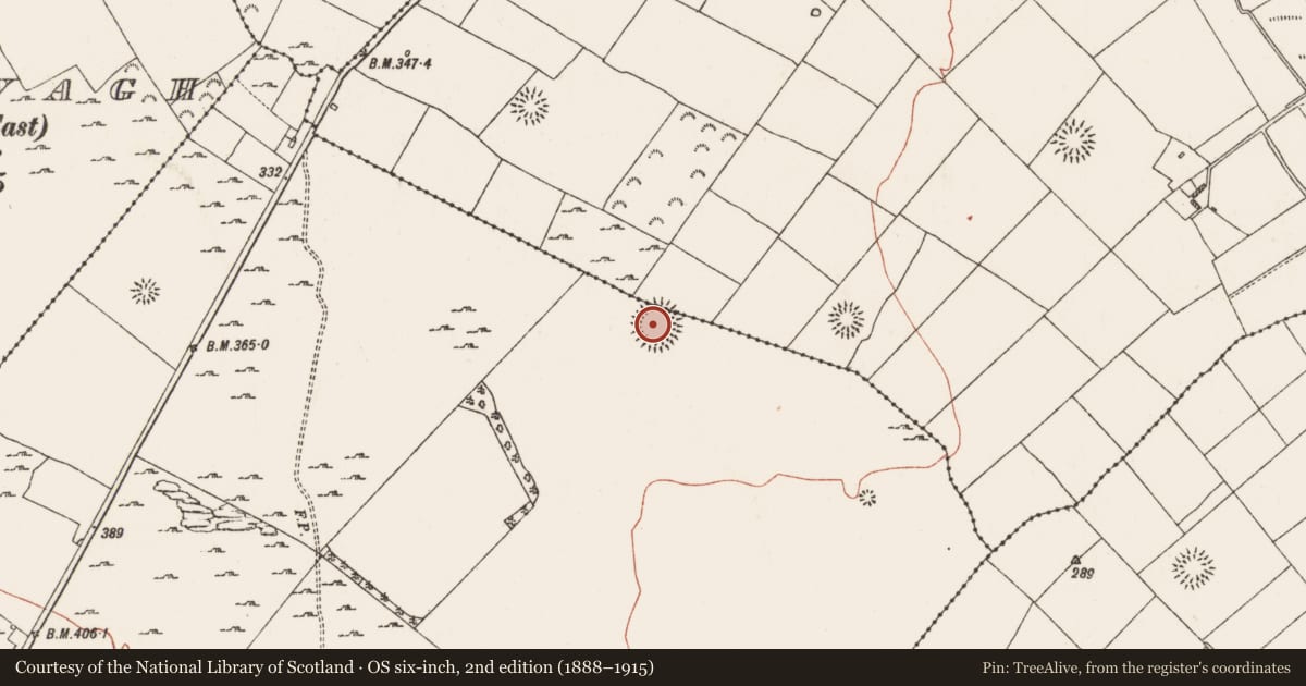 Ordnance Survey six-inch map, 2nd edition (1888–1915) covering the location of Ringfort - rath, Carrowmoney, Lisdaulan, County Roscommon, with a pin at the register's coordinates