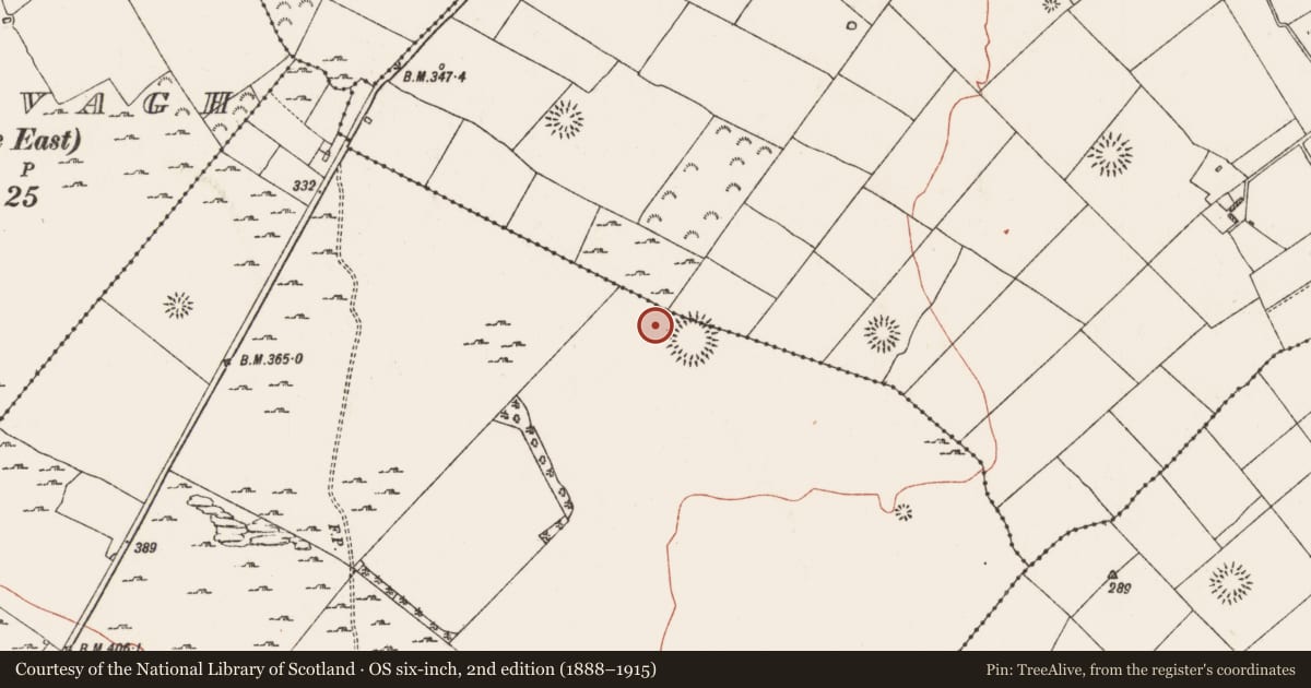 Ordnance Survey six-inch map, 2nd edition (1888–1915) covering the location of Field boundary, Carrowmoney, Lisdaulan, County Roscommon, with a pin at the register's coordinates
