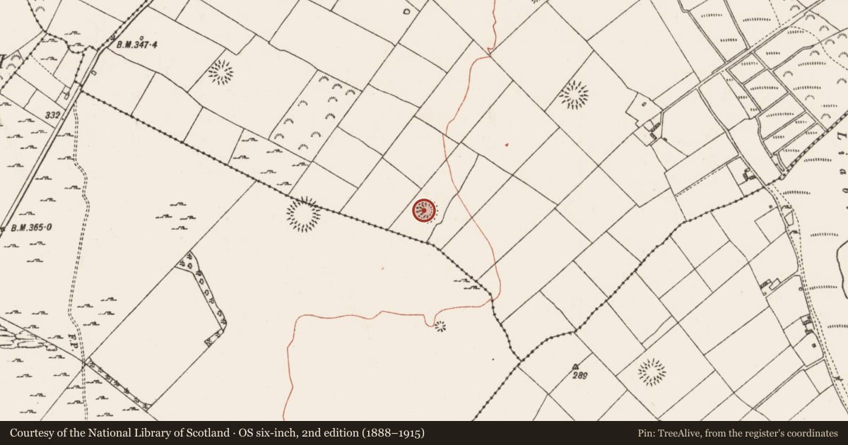 Ordnance Survey six-inch map, 2nd edition (1888–1915) covering the location of Ringfort - rath, Lisdaulan, County Roscommon, with a pin at the register's coordinates