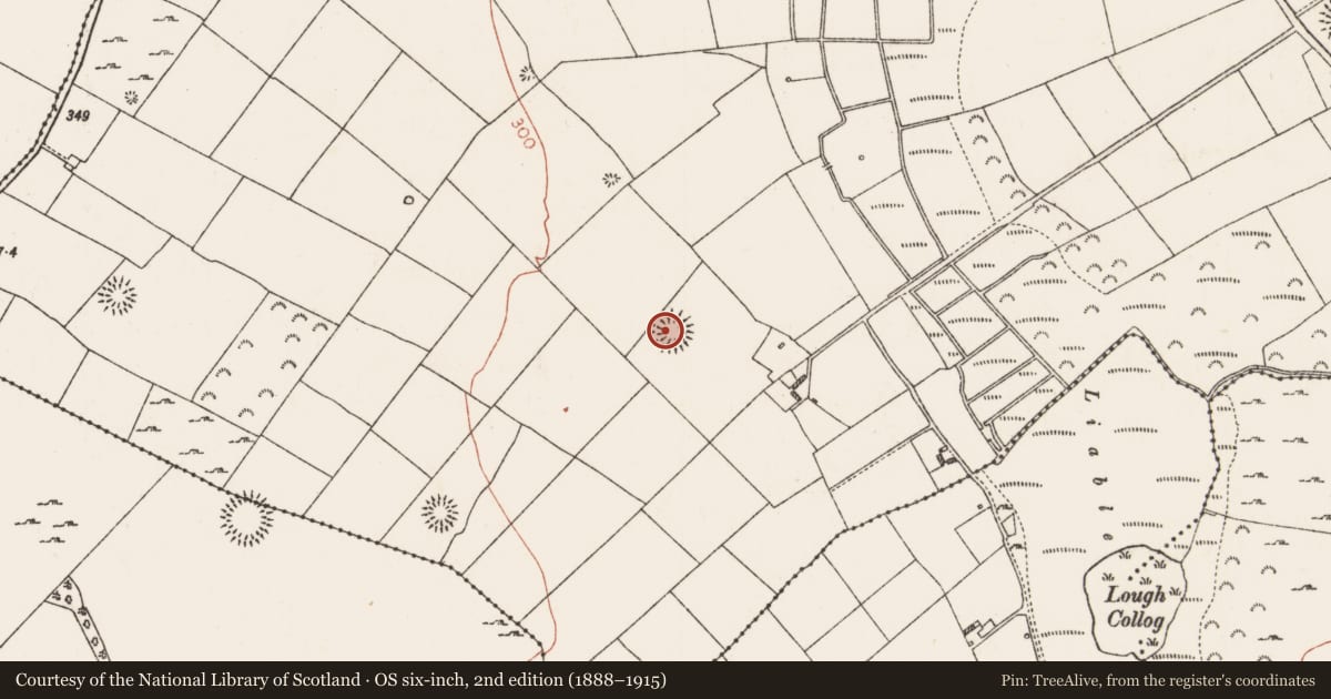 Ordnance Survey six-inch map, 2nd edition (1888–1915) covering the location of Ringfort - rath, Lisdaulan, County Roscommon, with a pin at the register's coordinates