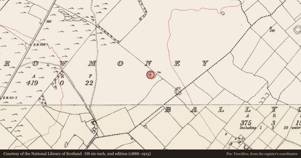 Ordnance Survey six-inch map, 2nd edition (1888–1915) covering the location of Ringfort - rath, Carrowmoney, County Roscommon, with a pin at the register's coordinates