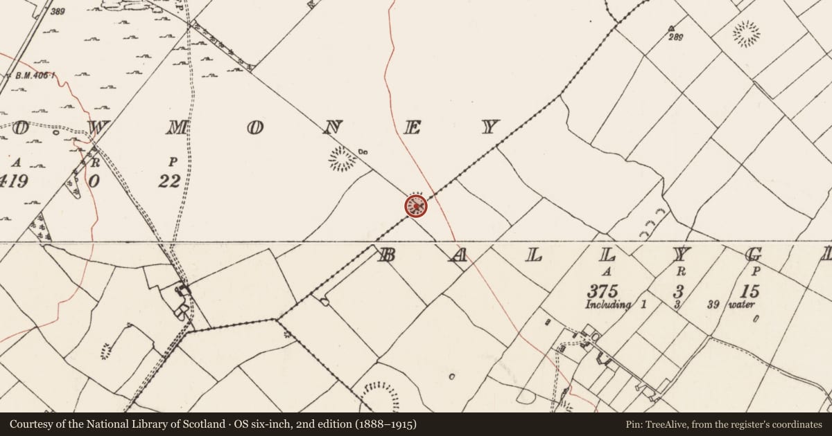 Ordnance Survey six-inch map, 2nd edition (1888–1915) covering the location of Ringfort - rath, Carrowmoney, Ballyglass, County Roscommon, with a pin at the register's coordinates