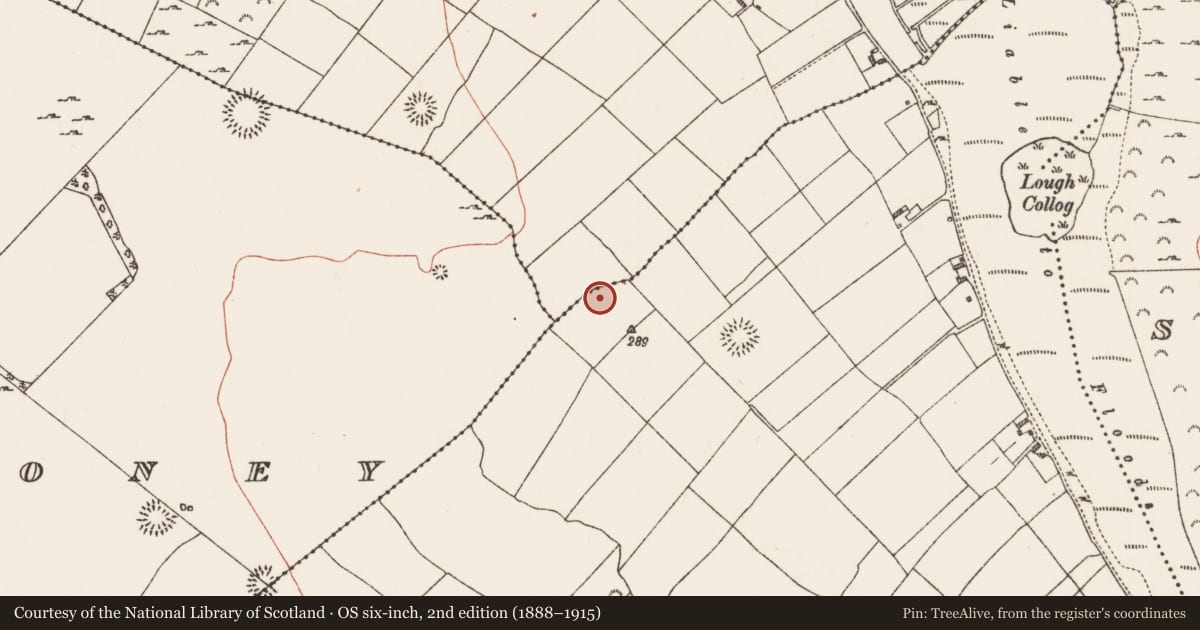 Ordnance Survey six-inch map, 2nd edition (1888–1915) covering the location of Ringfort - rath, Ballyglass, Lisdaulan, County Roscommon, with a pin at the register's coordinates