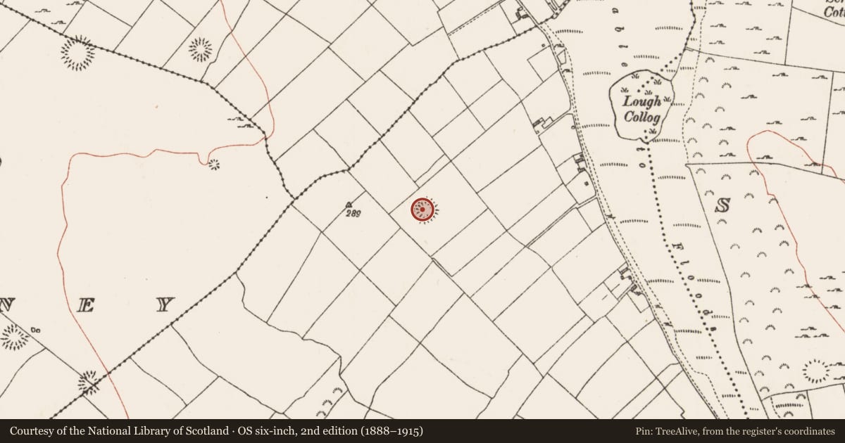 Ordnance Survey six-inch map, 2nd edition (1888–1915) covering the location of Ringfort - rath, Ballyglass, County Roscommon, with a pin at the register's coordinates