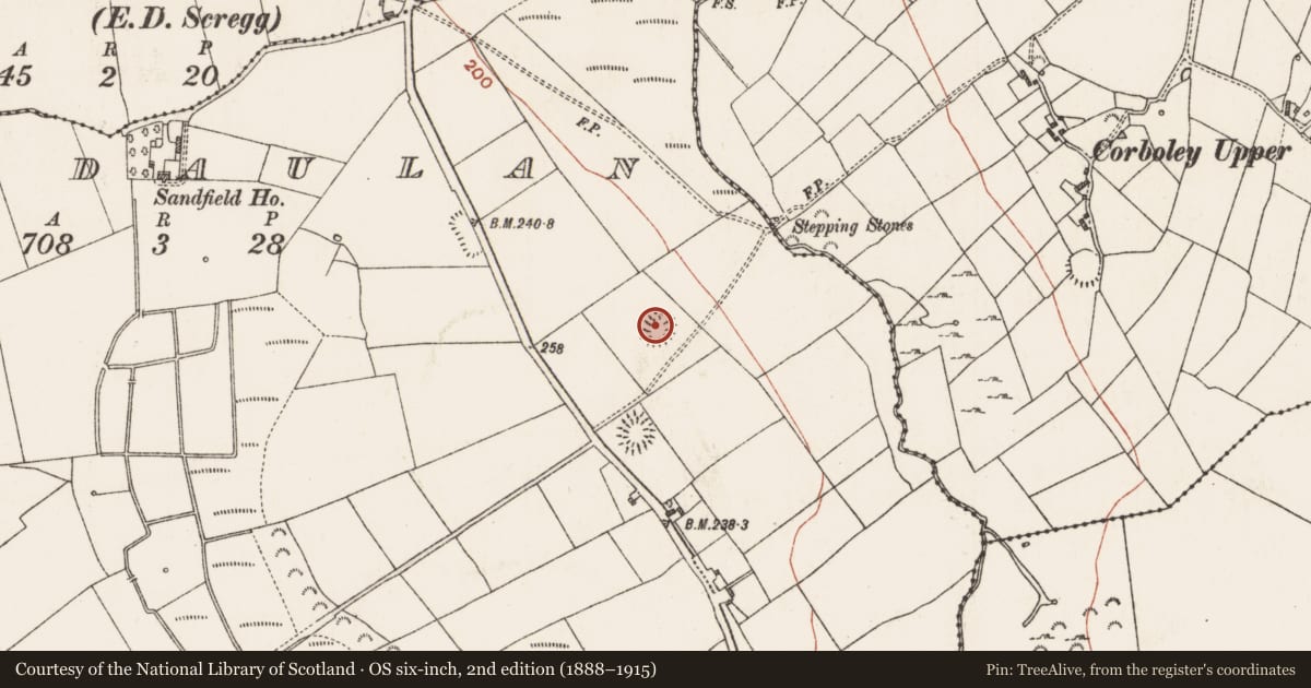 Ordnance Survey six-inch map, 2nd edition (1888–1915) covering the location of Ringfort - rath, Lisdaulan, County Roscommon, with a pin at the register's coordinates