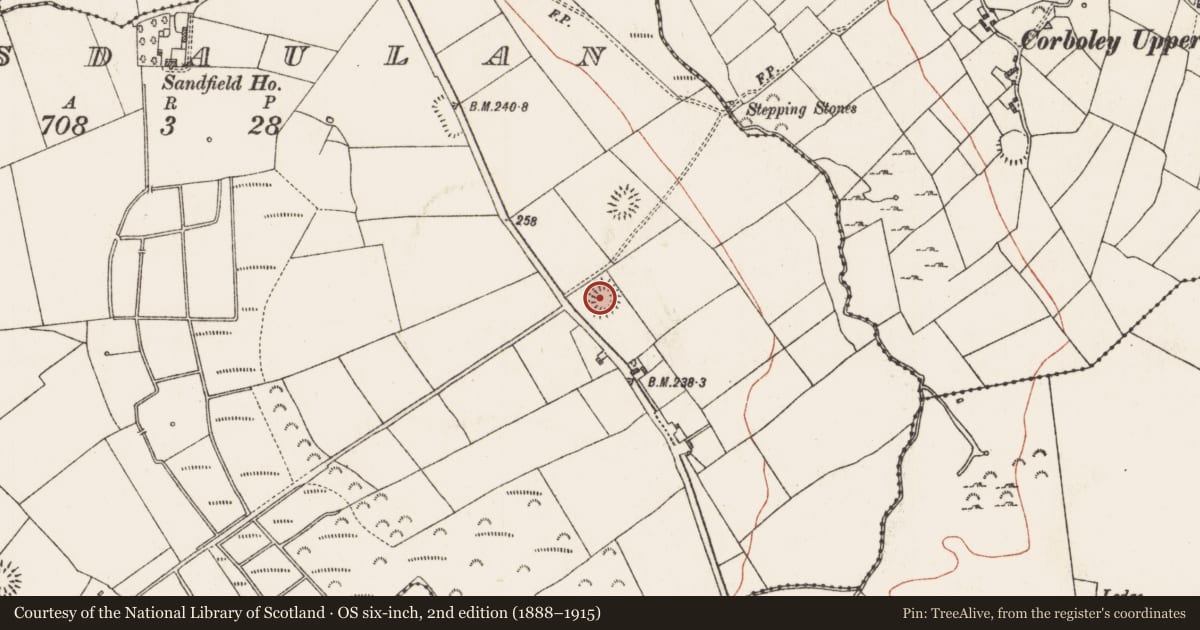 Ordnance Survey six-inch map, 2nd edition (1888–1915) covering the location of Ringfort - rath, Lisdaulan, County Roscommon, with a pin at the register's coordinates