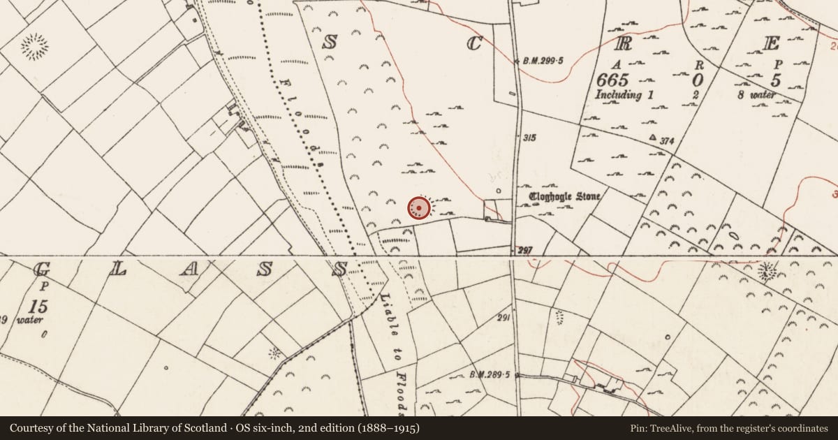 Ordnance Survey six-inch map, 2nd edition (1888–1915) covering the location of Ringfort - rath, Scregg, County Roscommon, with a pin at the register's coordinates