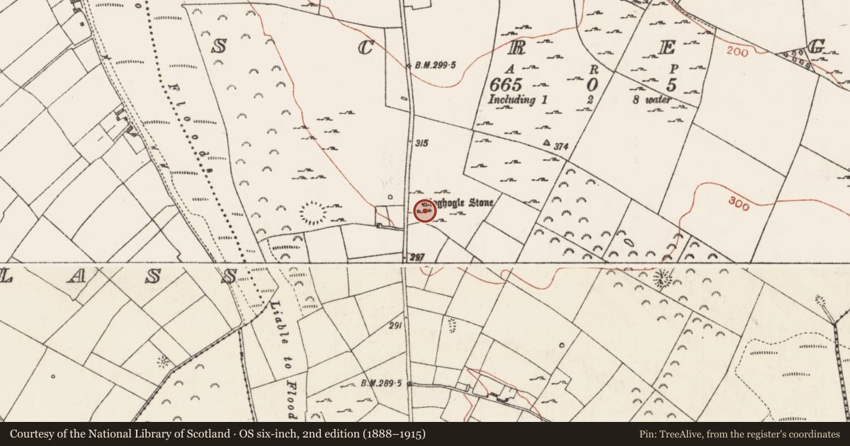 Ordnance Survey six-inch map, 2nd edition (1888–1915) covering the location of Megalithic tomb - passage tomb, Scregg, County Roscommon, with a pin at the register's coordinates