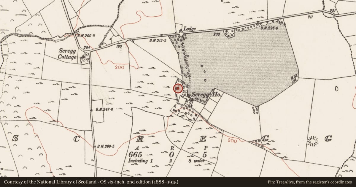 Ordnance Survey six-inch map, 2nd edition (1888–1915) covering the location of Sheela-na-gig (present location), Scregg, County Roscommon, with a pin at the register's coordinates