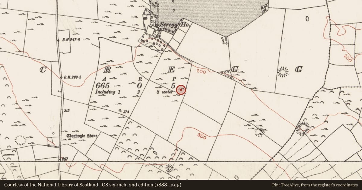 Ordnance Survey six-inch map, 2nd edition (1888–1915) covering the location of Ringfort - rath, Scregg, County Roscommon, with a pin at the register's coordinates
