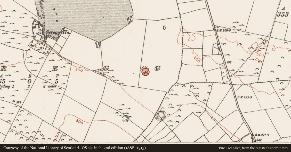 Ordnance Survey six-inch map, 2nd edition (1888–1915) covering the location of Ringfort - rath, Scregg, County Roscommon, with a pin at the register's coordinates