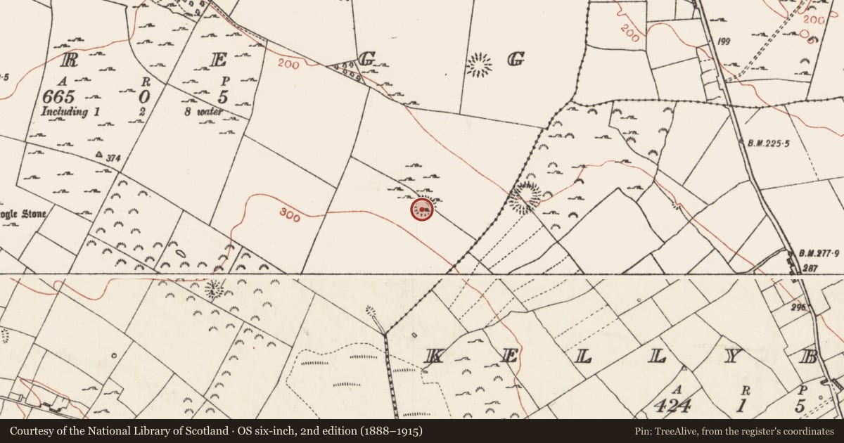 Ordnance Survey six-inch map, 2nd edition (1888–1915) covering the location of Ringfort - rath, Scregg, County Roscommon, with a pin at the register's coordinates
