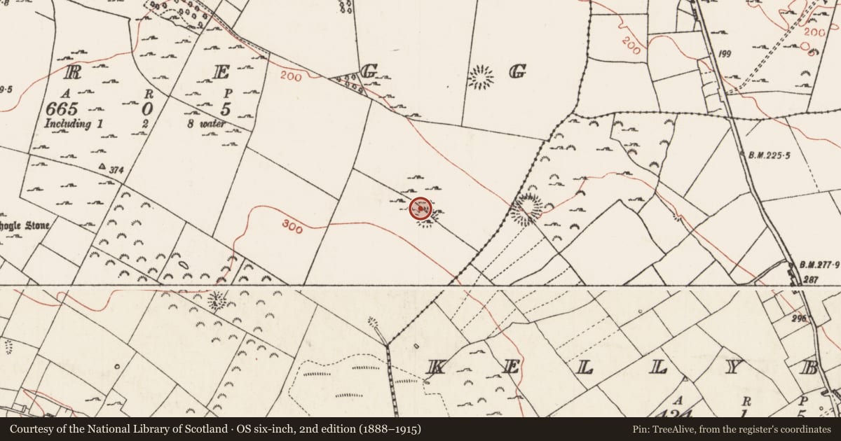 Ordnance Survey six-inch map, 2nd edition (1888–1915) covering the location of Ringfort - cashel, Scregg, County Roscommon, with a pin at the register's coordinates