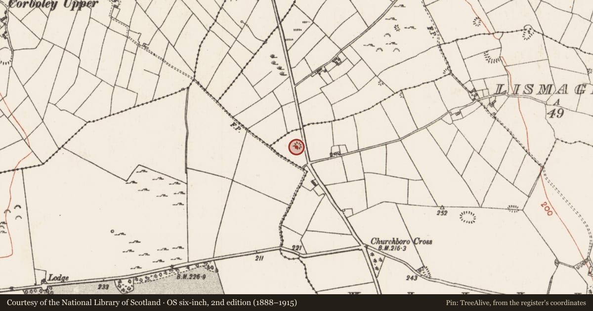 Ordnance Survey six-inch map, 2nd edition (1888–1915) covering the location of Barrow - ring-barrow, Killinvoy, County Roscommon, with a pin at the register's coordinates