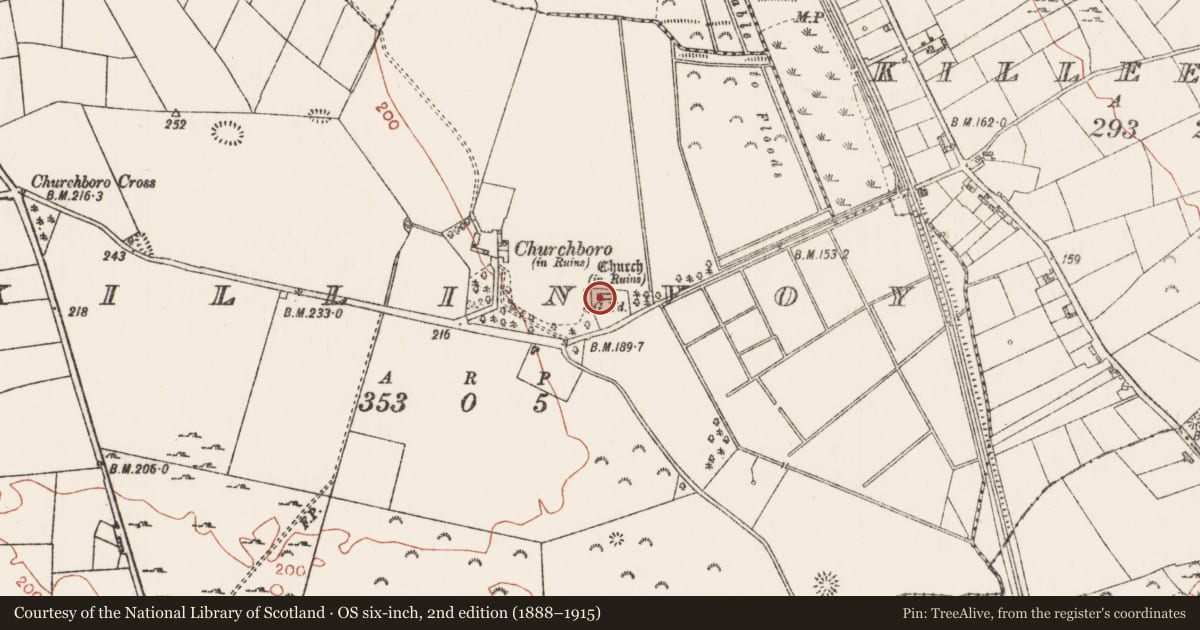 Ordnance Survey six-inch map, 2nd edition (1888–1915) covering the location of Church, Killinvoy, County Roscommon, with a pin at the register's coordinates
