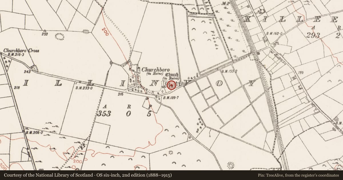 Ordnance Survey six-inch map, 2nd edition (1888–1915) covering the location of Graveslab, Killinvoy, County Roscommon, with a pin at the register's coordinates