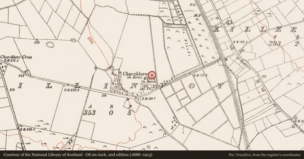 Ordnance Survey six-inch map, 2nd edition (1888–1915) covering the location of Barrow - ring-barrow, Killinvoy, County Roscommon, with a pin at the register's coordinates