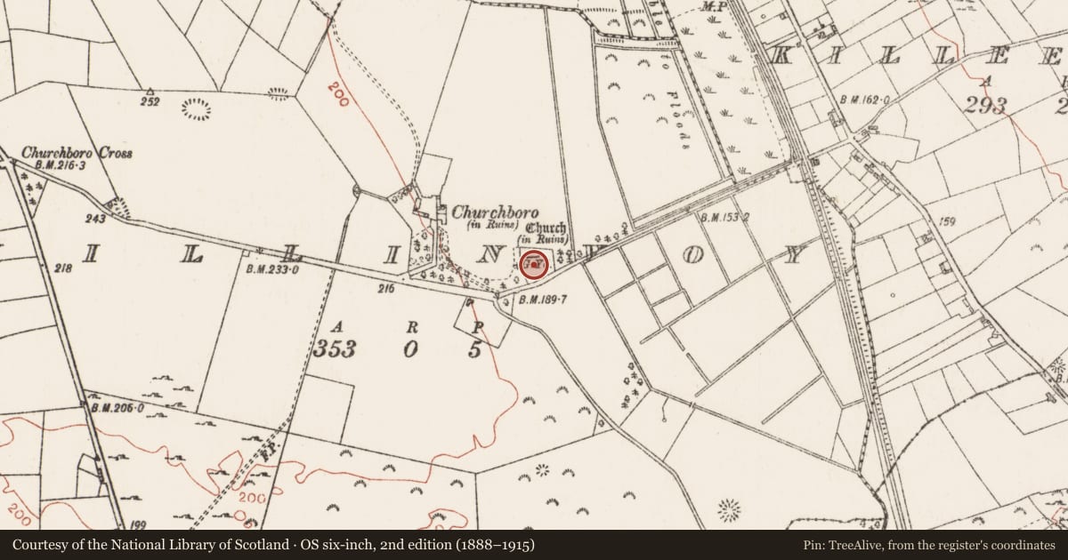 Ordnance Survey six-inch map, 2nd edition (1888–1915) covering the location of Headstone, Killinvoy, County Roscommon, with a pin at the register's coordinates