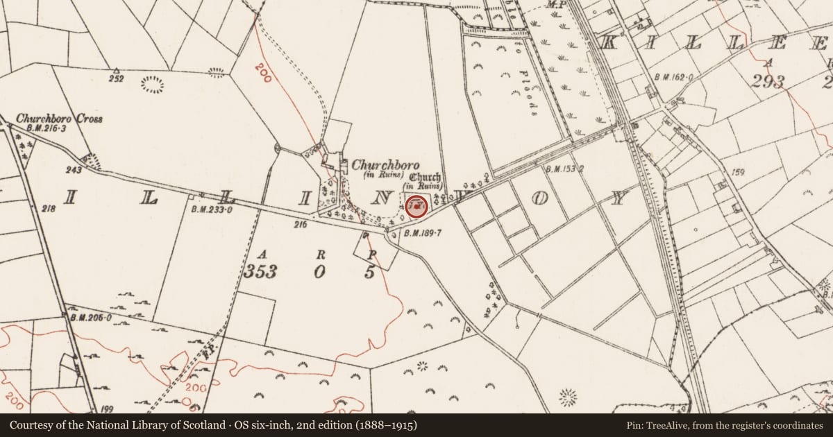 Ordnance Survey six-inch map, 2nd edition (1888–1915) covering the location of Headstone, Killinvoy, County Roscommon, with a pin at the register's coordinates