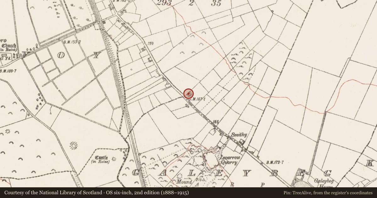 Ordnance Survey six-inch map, 2nd edition (1888–1915) covering the location of Barrow - ring-barrow, Killeenrevagh, County Roscommon, with a pin at the register's coordinates