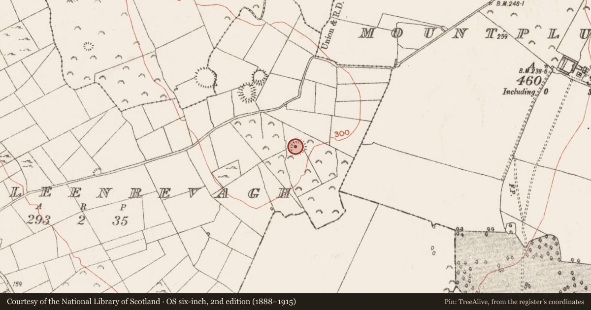 Ordnance Survey six-inch map, 2nd edition (1888–1915) covering the location of Ringfort - rath, Killeenrevagh, County Roscommon, with a pin at the register's coordinates