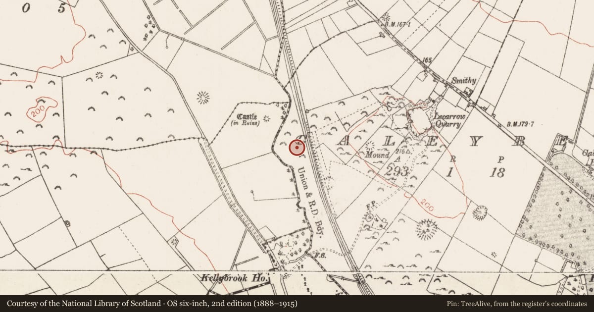 Ordnance Survey six-inch map, 2nd edition (1888–1915) covering the location of Ringfort - rath, Galeybeg, County Roscommon, with a pin at the register's coordinates