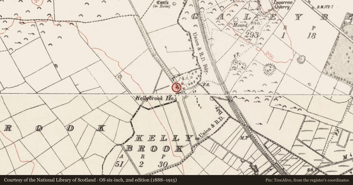 Ordnance Survey six-inch map, 2nd edition (1888–1915) covering the location of Inscribed stone, Kellybrook, County Roscommon, with a pin at the register's coordinates