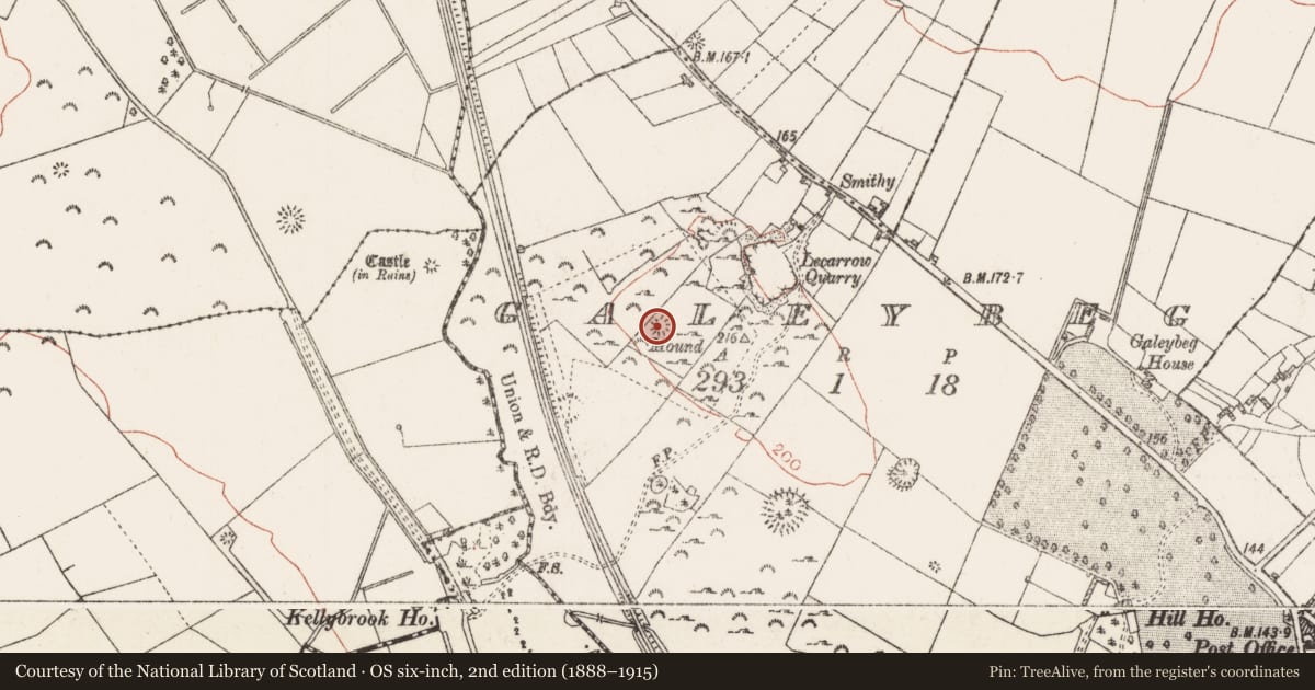 Ordnance Survey six-inch map, 2nd edition (1888–1915) covering the location of Barrow - unclassified, Galeybeg, County Roscommon, with a pin at the register's coordinates