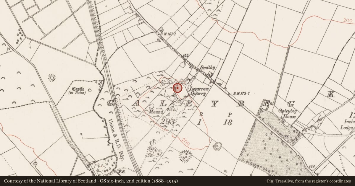 Ordnance Survey six-inch map, 2nd edition (1888–1915) covering the location of Burial, Galeybeg, County Roscommon, with a pin at the register's coordinates
