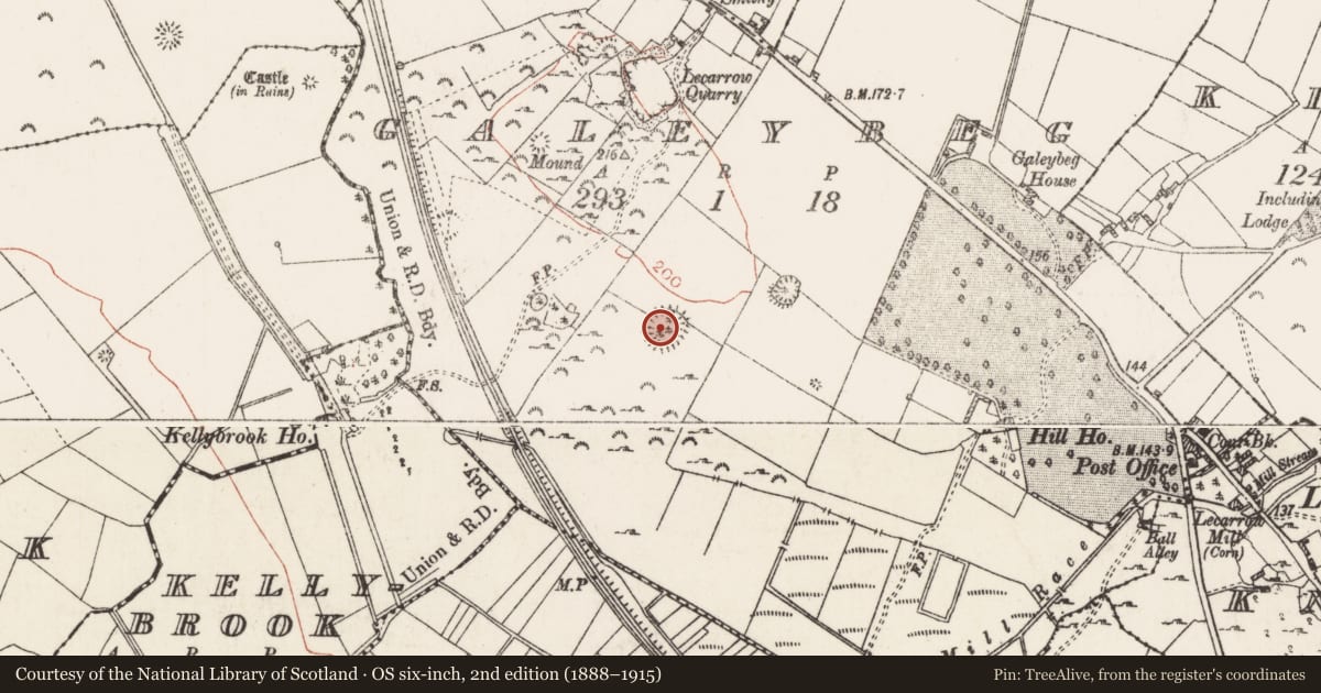 Ordnance Survey six-inch map, 2nd edition (1888–1915) covering the location of Ringfort - rath, Galeybeg, County Roscommon, with a pin at the register's coordinates