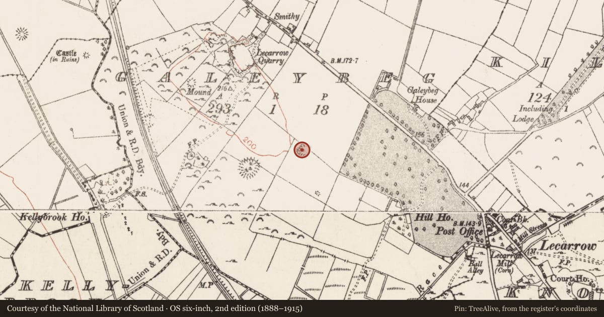 Ordnance Survey six-inch map, 2nd edition (1888–1915) covering the location of Ringfort - rath, Galeybeg, County Roscommon, with a pin at the register's coordinates