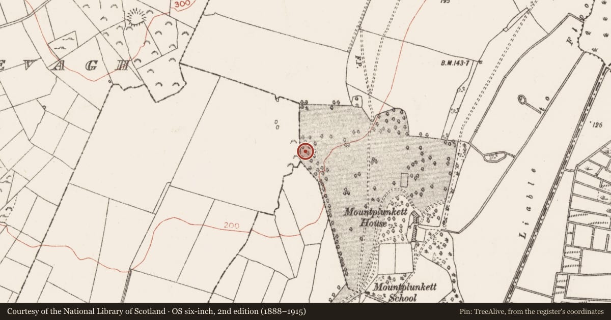 Ordnance Survey six-inch map, 2nd edition (1888–1915) covering the location of Ringfort - rath, Mountplunkett, County Roscommon, with a pin at the register's coordinates