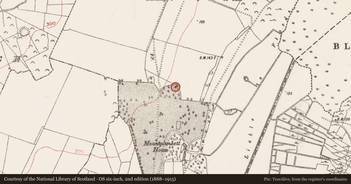 Ordnance Survey six-inch map, 2nd edition (1888–1915) covering the location of Ringfort - rath, Mountplunkett, County Roscommon, with a pin at the register's coordinates