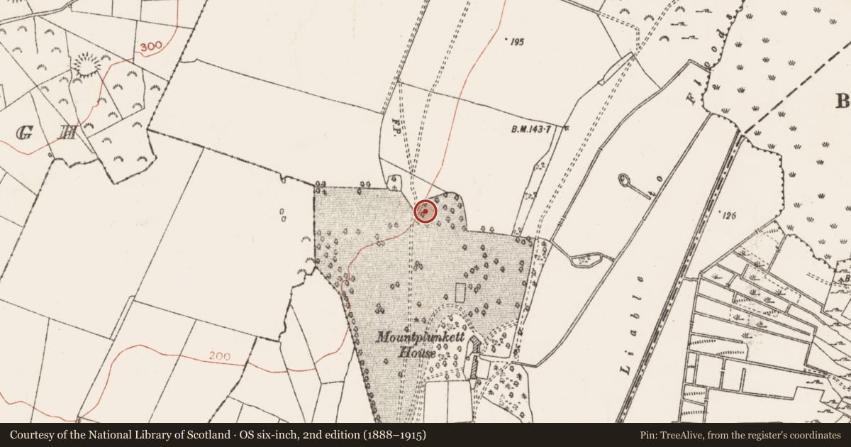Ordnance Survey six-inch map, 2nd edition (1888–1915) covering the location of Ringfort - rath, Mountplunkett, County Roscommon, with a pin at the register's coordinates