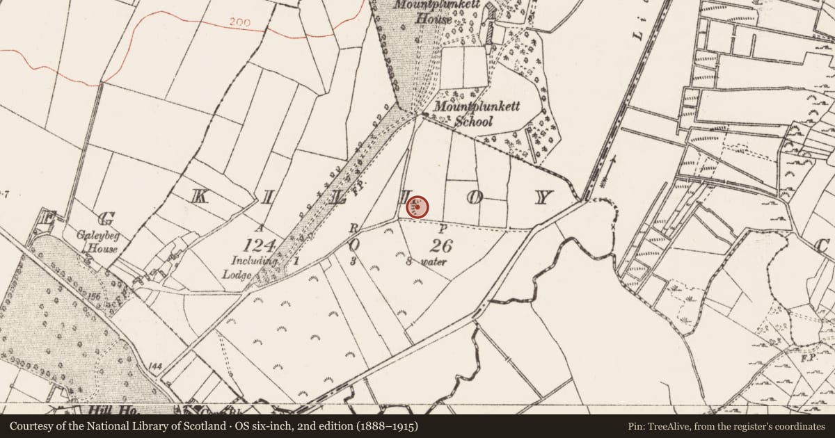 Ordnance Survey six-inch map, 2nd edition (1888–1915) covering the location of Ringfort - rath, Killoy, County Roscommon, with a pin at the register's coordinates