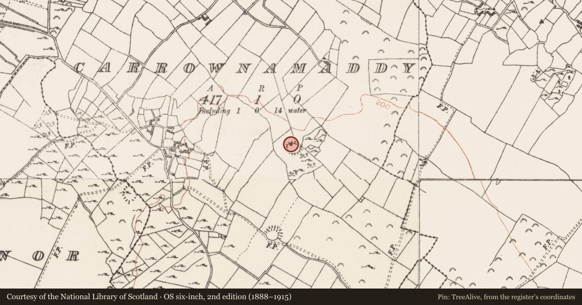Ordnance Survey six-inch map, 2nd edition (1888–1915) covering the location of Ringfort - rath, Carrownamaddy, County Roscommon, with a pin at the register's coordinates