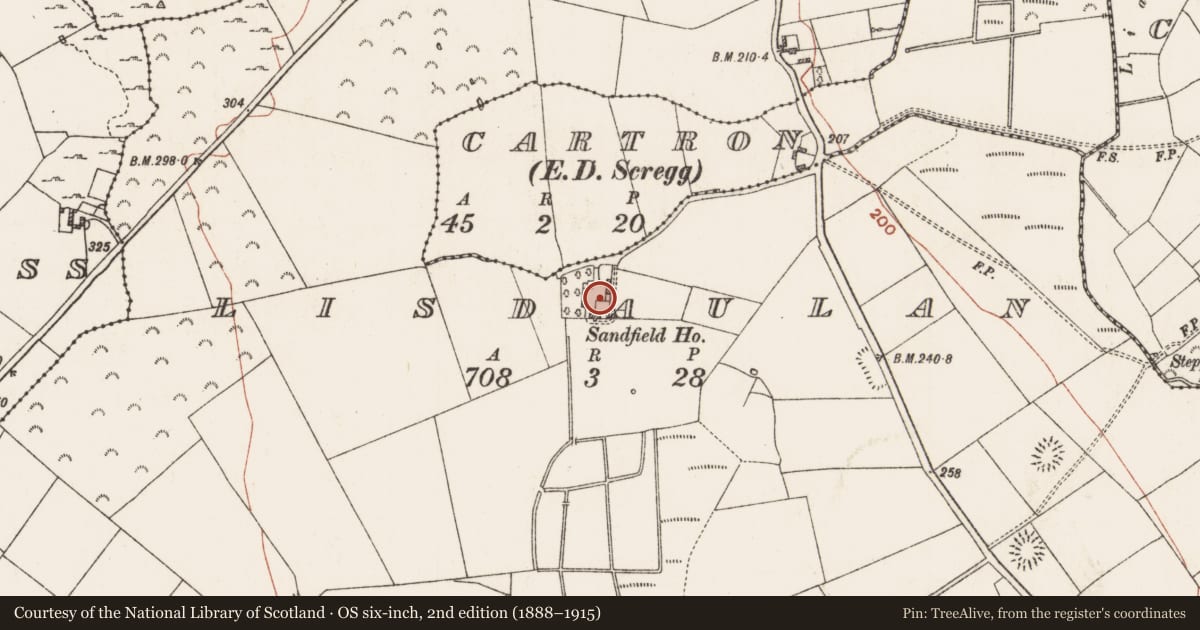 Ordnance Survey six-inch map, 2nd edition (1888–1915) covering the location of Architectural fragment, Lisdaulan, County Roscommon, with a pin at the register's coordinates