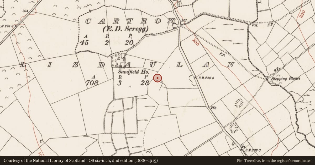 Ordnance Survey six-inch map, 2nd edition (1888–1915) covering the location of Castle - unclassified, Lisdaulan, County Roscommon, with a pin at the register's coordinates