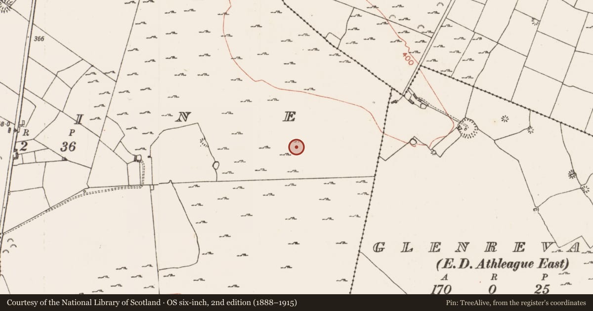 Ordnance Survey six-inch map, 2nd edition (1888–1915) covering the location of Enclosure, Skrine, County Roscommon, with a pin at the register's coordinates