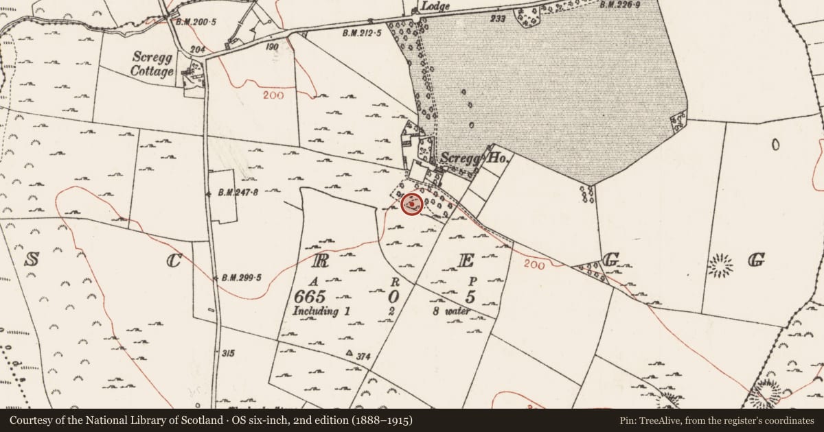 Ordnance Survey six-inch map, 2nd edition (1888–1915) covering the location of Castle - tower house, Scregg, County Roscommon, with a pin at the register's coordinates