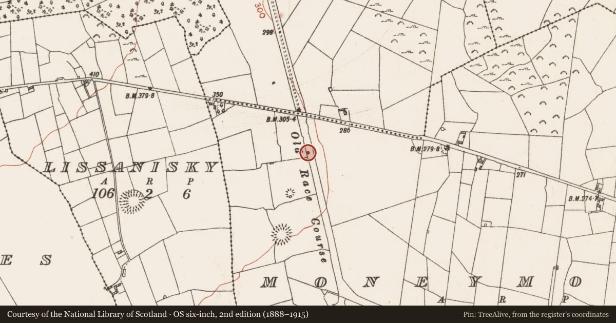 Ordnance Survey six-inch map, 2nd edition (1888–1915) covering the location of Racecourse, County Roscommon, with a pin at the register's coordinates