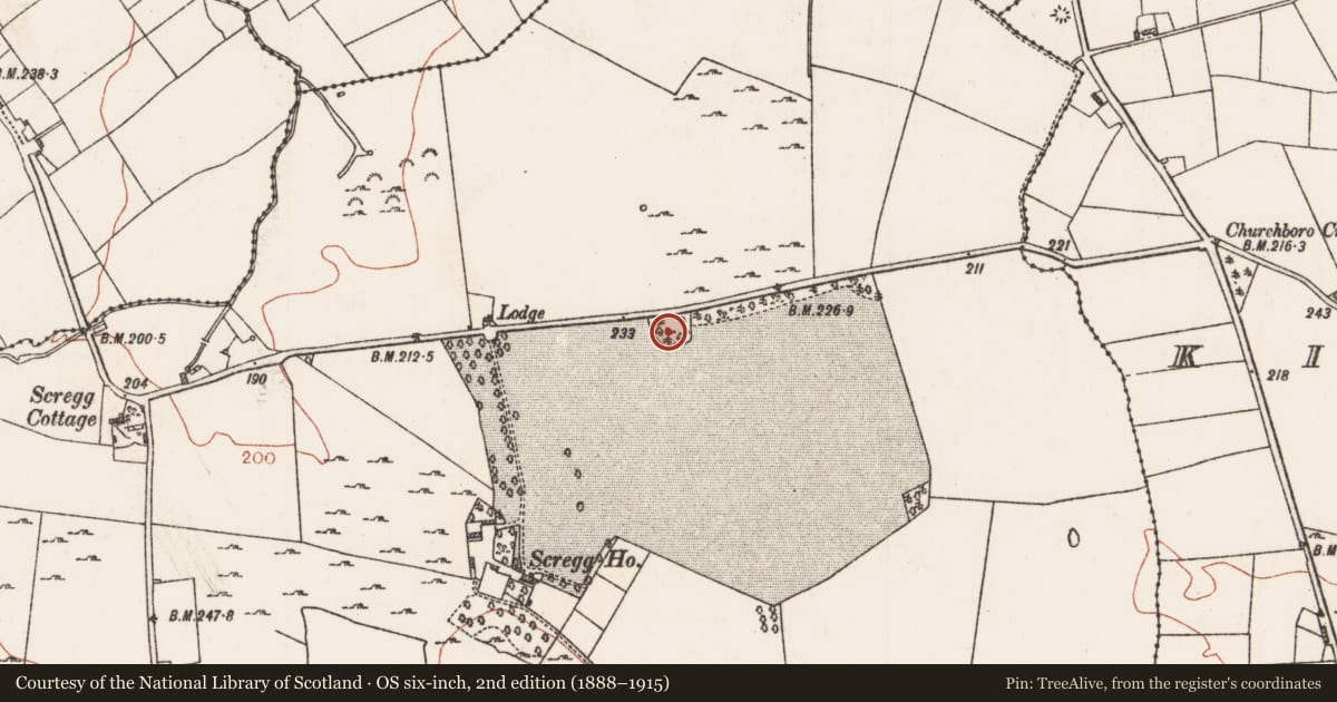 Ordnance Survey six-inch map, 2nd edition (1888–1915) covering the location of Ringfort - rath, Scregg, County Roscommon, with a pin at the register's coordinates