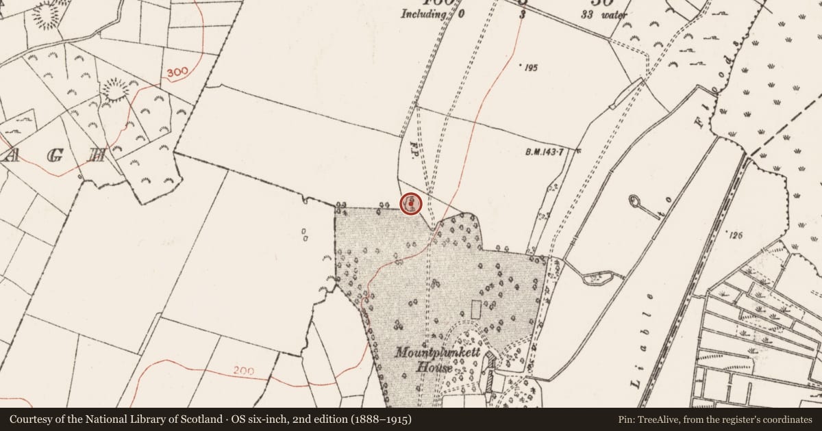 Ordnance Survey six-inch map, 2nd edition (1888–1915) covering the location of Ringfort - rath, Mountplunkett, County Roscommon, with a pin at the register's coordinates