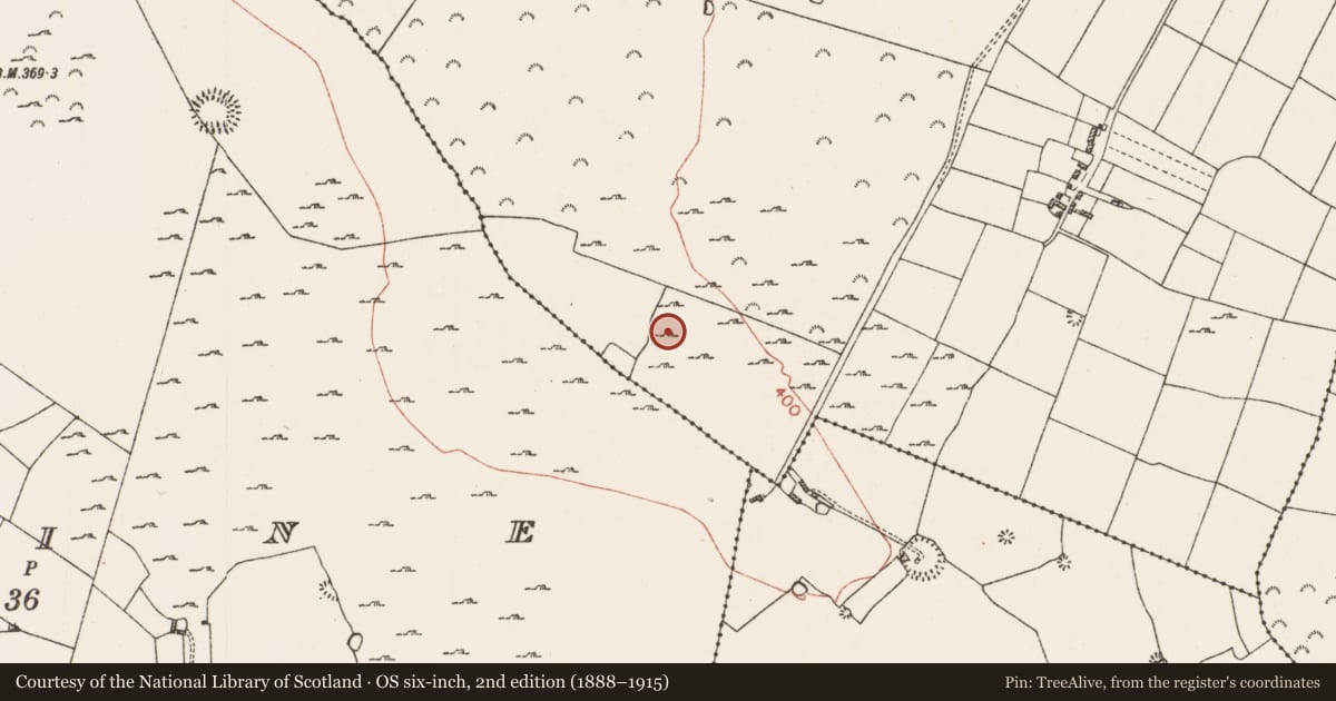 Ordnance Survey six-inch map, 2nd edition (1888–1915) covering the location of Ringfort - rath, Kilcash, County Roscommon, with a pin at the register's coordinates